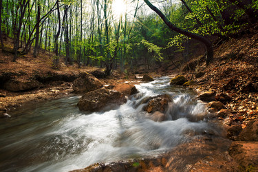 Similar image 1666521