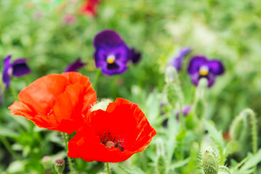 Similar image 1666537