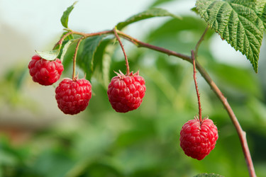 Similar image 1666538