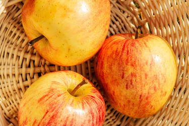 Similar image 1666553