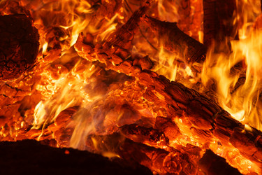 Similar image 1666554