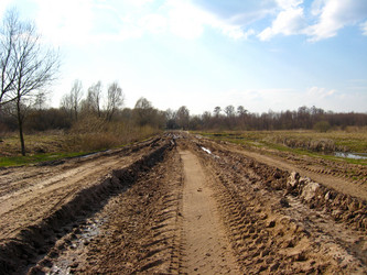 Similar image 1666561