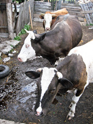 Similar image 1666564