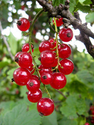 Similar image 1666576