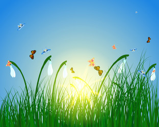 Similar image 1666625