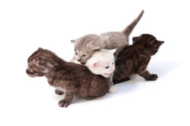 Similar image 1666745