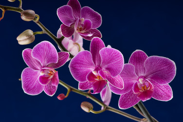 Similar image 1666758