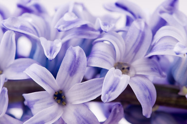 Similar image 1666773