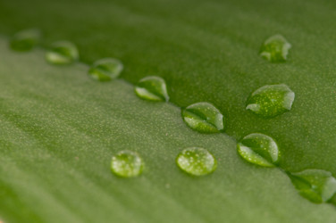 Similar image 1666774