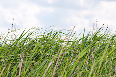 Similar image 1666778