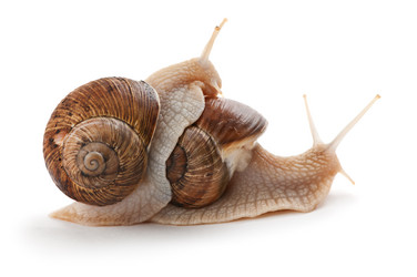 Similar image 1666779