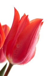 Similar image 1666786