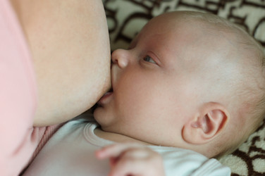 Similar image 1666834