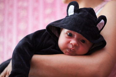 Similar image 1666838