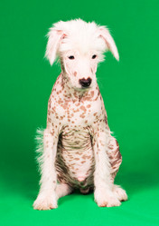 Similar image 1666879