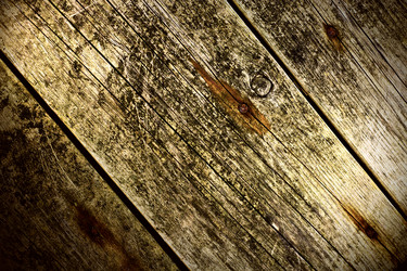 Similar image 1666898