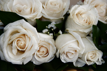 Similar image 1666950