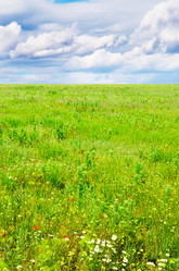 Similar image 1666982