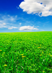 Similar image 1666987