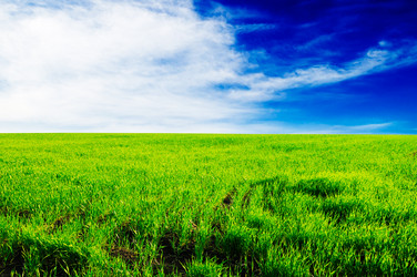 Similar image 1666993