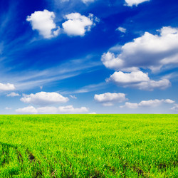 Similar image 1666994