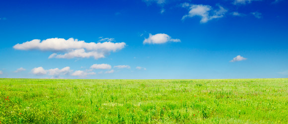 Similar image 1666998