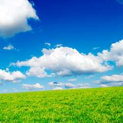 Similar image 1667000