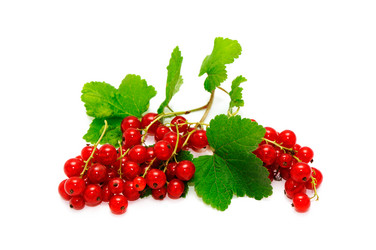 Similar image 1667005