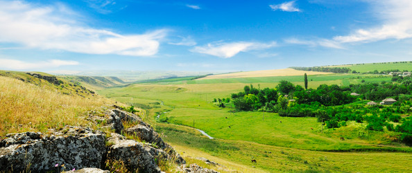 Similar image 1667030