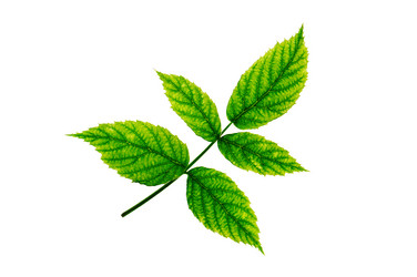 Similar image 1667031