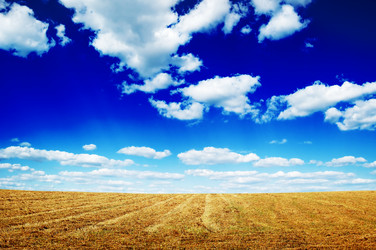 Similar image 1667037