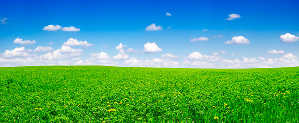 Similar image 1667041