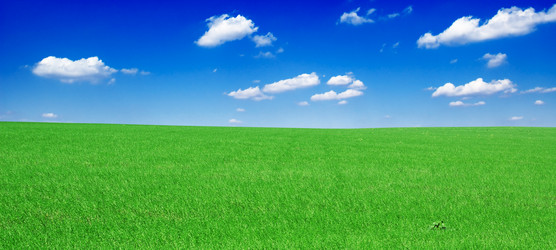 Similar image 1667043