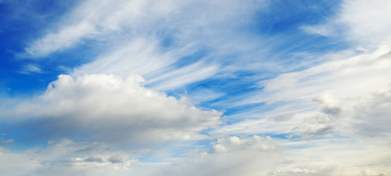 Similar image 1667050