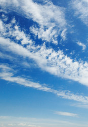 Similar image 1667052