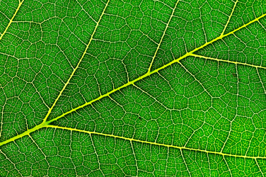 Similar image 1667060