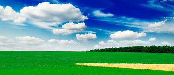 Similar image 1667063