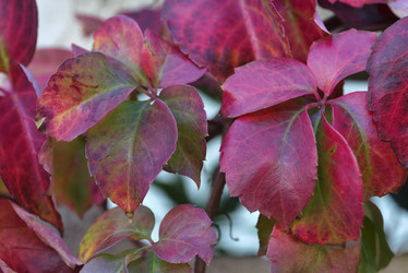 Similar image 1667068