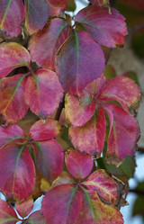 Similar image 1667069