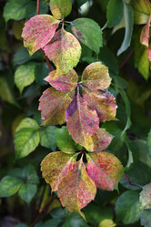 Similar image 1667071