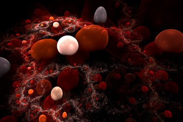 Similar image 1667362