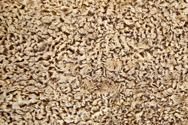 Similar image 1668761