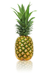 Similar image 1668833