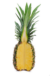 Similar image 1668835