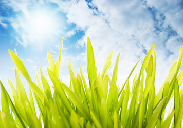 Similar image 1668841