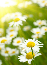 Similar image 1668847