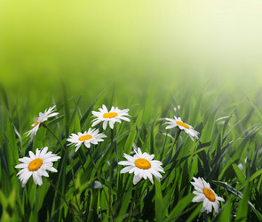 Similar image 1668849