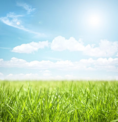 Similar image 1668854