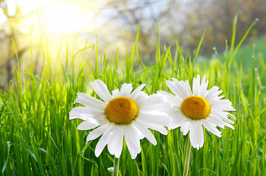 Similar image 1668861