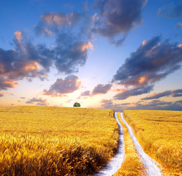 Similar image 1668874